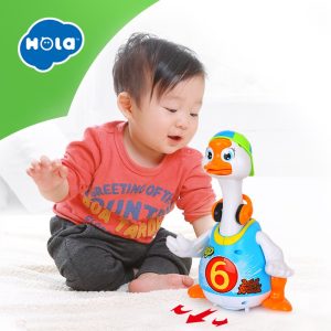 Hola 828 Swing Goose