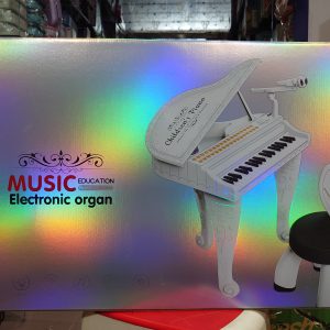 Musical Education Electronic Organ: Children's Grand Piano with Microphone and Chair Set